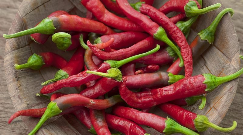 Věděli jste, že chilli papričky léčí?